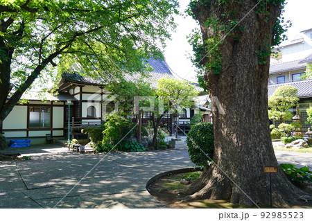 無量寺 ~東京都世田谷区~ 無量寺 ~東京都世田谷区~ 92985523