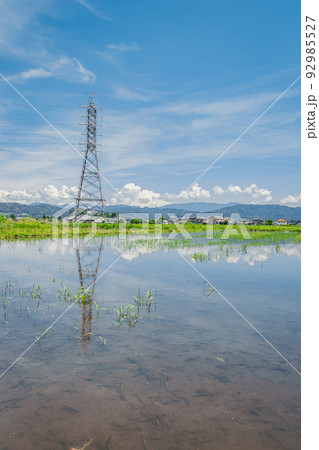 水を張るまでに留まった水田と夏空が広がる安曇野 水を張るまでに留まった水田と夏空が広がる安曇野 92985527
