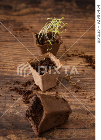 Herbs seedlings in biodegradable pot on wooden table close up. Urban gardening Herbs seedlings in biodegradable pot on wooden table close up. Urban gardening 92986404