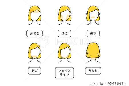 女性の脱毛イラスト 顔脱毛 女性の脱毛イラスト 顔脱毛 92986934