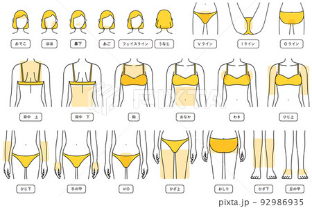 女性の脱毛イラスト パーツ別、顔脱毛・VIO・上半身・下半身 女性の脱毛イラスト パーツ別、顔脱毛・VIO・上半身・下半身 92986935