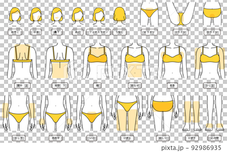 女性脫毛插圖，面部脫毛，VIO，上半身，下半身 92986935