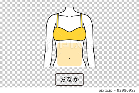 女性脫毛圖解 分離部位、腹部 92986952