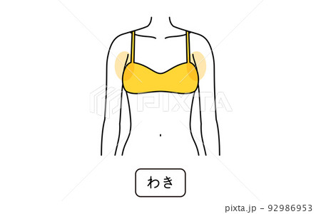 女性の脱毛イラスト パーツ別、わき 女性の脱毛イラスト パーツ別、わき 92986953