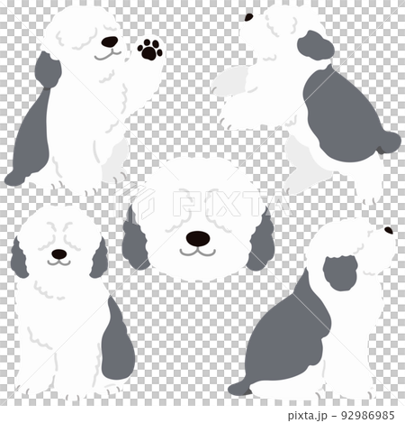 Simple and cute Old English Sheepdog illustration set No main line 92986985