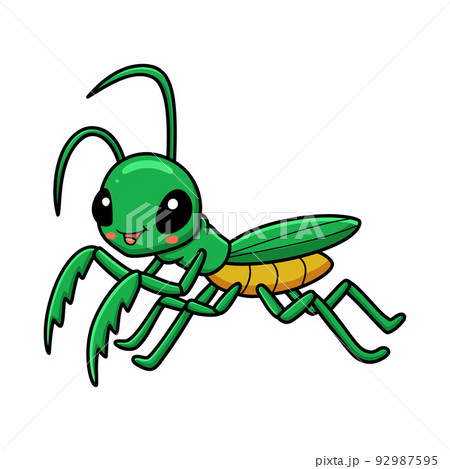 Cute little mantis cartoon character	 92987595