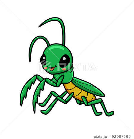 Cute little mantis cartoon character	 92987596
