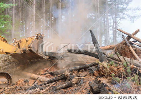 An attempt to develop land for new building, in which be bulldozed heavy equipment will be used, is uprooted and burned during forest 92988020