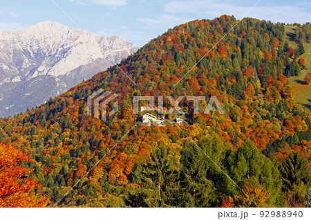 Shades of Colours of autumn on the Italian alps around Como Lake Shades of Colours of autumn on the Italian alps around Como Lake 92988940