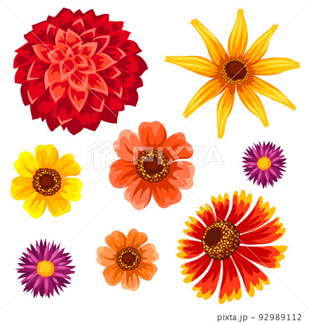 Set of autumn flowers. Beautiful decorative bouquet of blooming plants. Set of autumn flowers. Beautiful decorative bouquet of blooming plants. 92989112