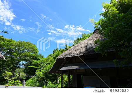 かやぶき屋根のある風景　小谷戸の里 92989689