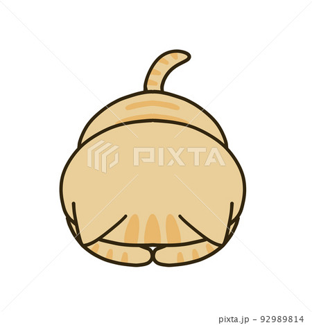 土下座をする茶トラ猫 92989814