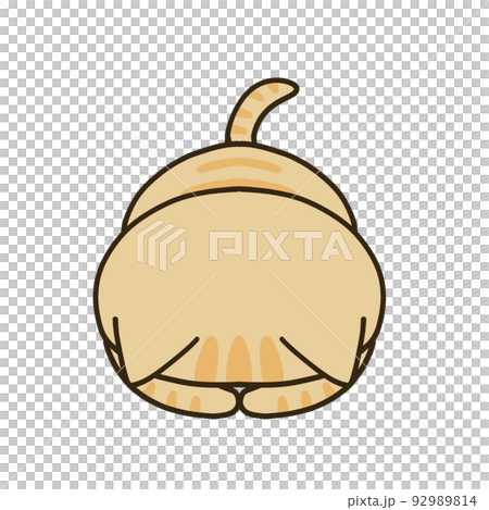 做跪著的棕色虎斑貓 92989814