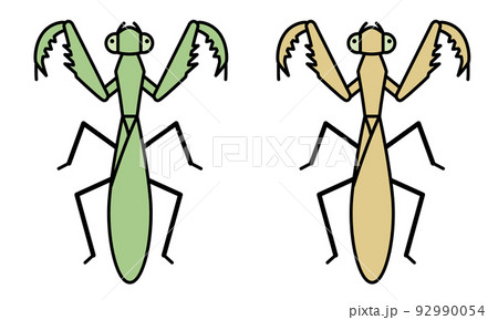 オオカマキリのイラスト素材 オオカマキリのイラスト素材 92990054