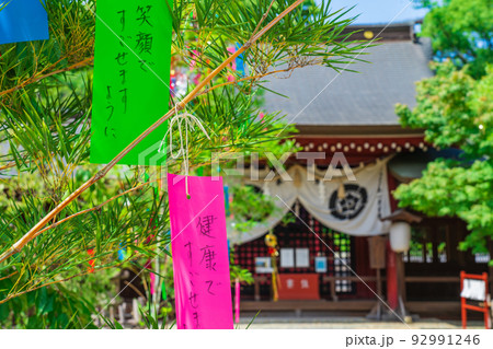夏の富部神社、七夕祭〈愛知県名古屋市〉 92991246