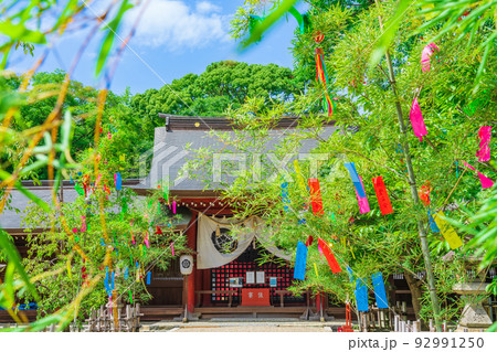 夏の富部神社、七夕祭〈愛知県名古屋市〉 92991250