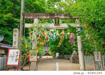 夏の富部神社、七夕祭〈愛知県名古屋市〉 夏の富部神社、七夕祭〈愛知県名古屋市〉 92991395