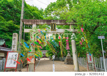 夏の富部神社、七夕祭〈愛知県名古屋市〉 92991412