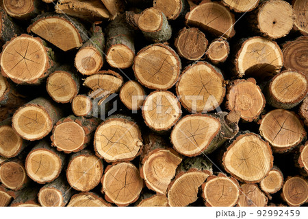 Tree trunks cut background. Wall decoration of cut tree for interior decoration Tree trunks cut background. Wall decoration of cut tree for interior decoration 92992459