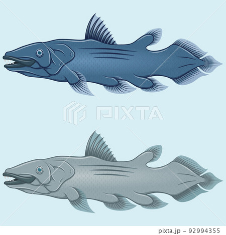 Coelacanth fish vector design Coelacanth fish vector design 92994355