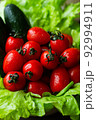 Cherry tomatoes, cucumbers and green salad leaves. Fresh harvest. 92994911