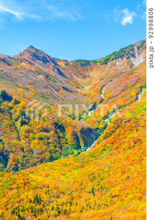 黒部平から望む秋の立山 黒部平から望む秋の立山 92998806