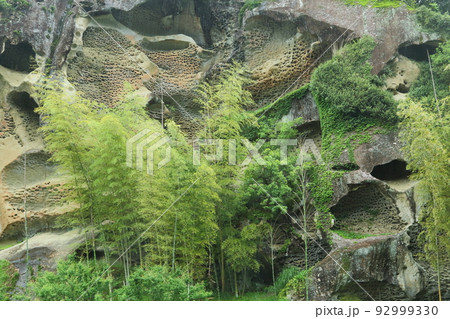 高池の虫喰い岩 高池の虫喰い岩 92999330
