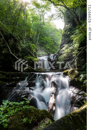 夏の奥入瀬渓流 夏の奥入瀬渓流 92999751