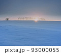 白樺並木の夕景 93000055