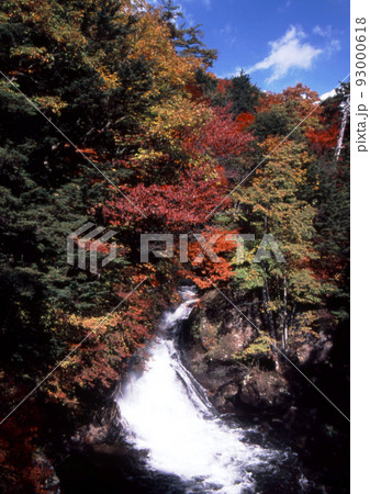 日光の竜頭の滝の紅葉。青空に錦の紅葉と白い滝の流れとのコントラストが綺麗だ。 93000618