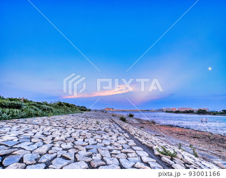 8月の葛西臨海公園から見た青空と夕焼けの始まり 93001166