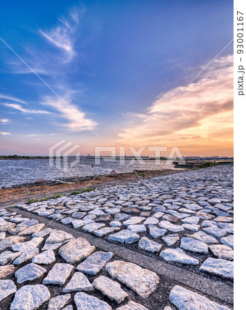 8月の葛西臨海公園から見た青空と夕焼けの始まり 8月の葛西臨海公園から見た青空と夕焼けの始まり 93001167