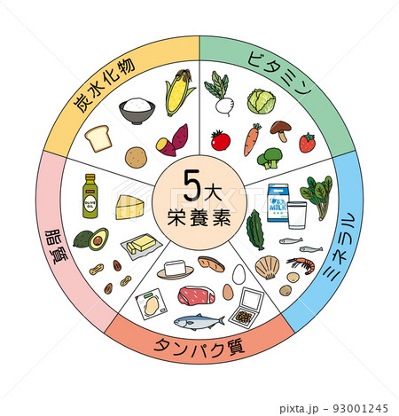 5大栄養素　食材　食べ物　栄養バランス　成分　イラスト 93001245