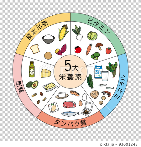 5大栄養素　食材　食べ物　栄養バランス　成分　イラスト 93001245