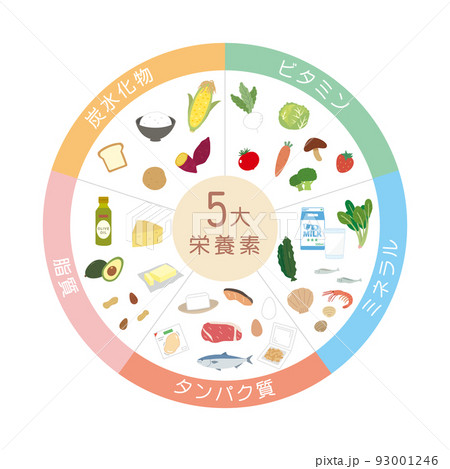 5大栄養素　食材　食べ物　栄養バランス　成分　イラスト 93001246