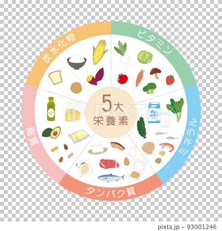 5大栄養素　食材　食べ物　栄養バランス　成分　イラスト 93001246