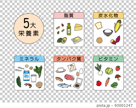 五種主要營養素成分食品營養平衡成分說明 93001247