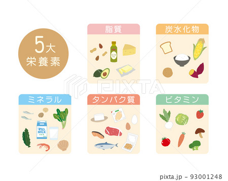 5大栄養素 食材 食べ物 栄養バランス 成分 イラストのイラスト素材 [93001248] - PIXTA