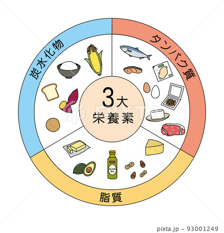 3大栄養素　食材　食べ物　PFCバランス　成分　イラスト 93001249