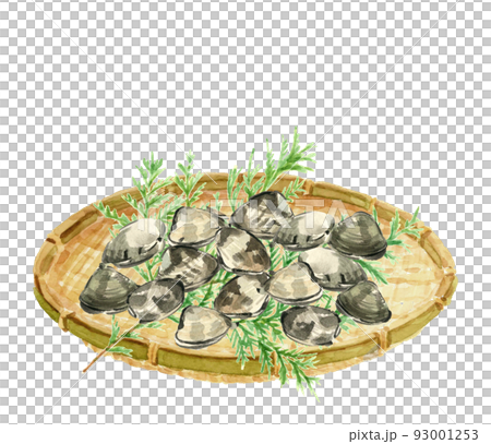 蛤蜊盛在漏勺【手繪水彩畫】白背透明背景PNG 93001253