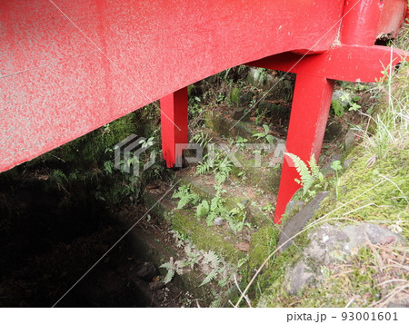 鎌原観音堂　天明三年浅間やけ遺跡　埋没石段 93001601