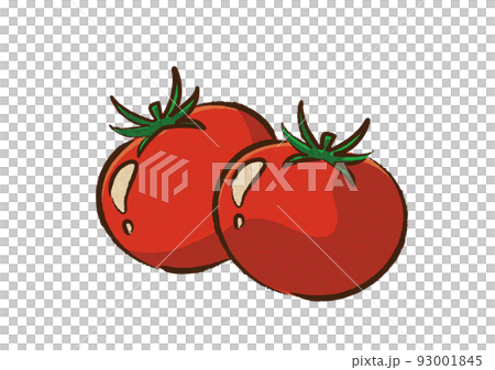 Tomato handwritten style 93001845