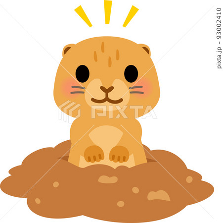 巣穴から顔を出すプレーリードッグ 93002410