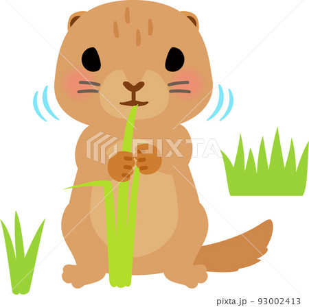 草を食べるプレーリードッグ 93002413