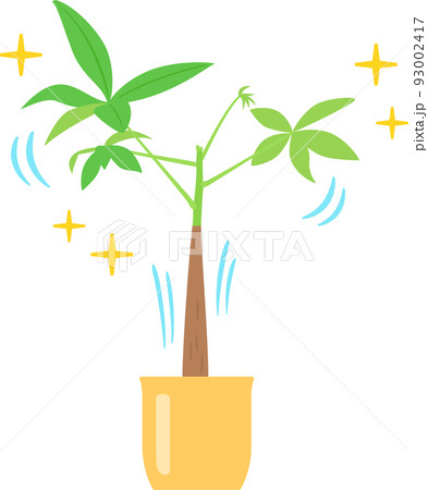 元気な観葉植物 93002417