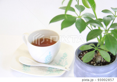 コーヒーと観葉植物(リラックスタイム1) コーヒーと観葉植物(リラックスタイム1) 93002857