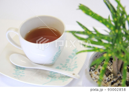 コーヒーと観葉植物(リラックスタイム2) コーヒーと観葉植物(リラックスタイム2) 93002858