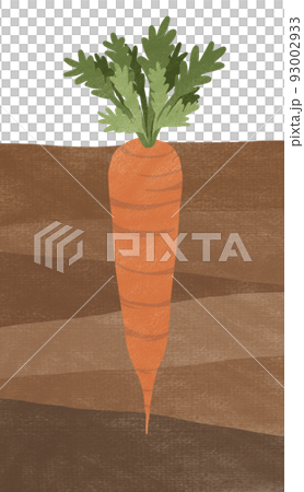 胡蘿蔔田的插圖（帶紋理） 93002933