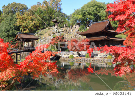 多治見市虎渓山永保寺の紅葉 93003245