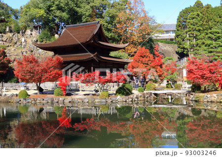 多治見市虎渓山永保寺の紅葉 多治見市虎渓山永保寺の紅葉 93003246